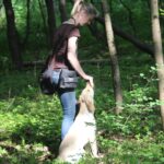 Hundeerziehung: Leckerlis im Hundetraining