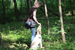 Leckerlis im Hundetraining Dummytraining Dr. Valérie Hofe Belohnung Hund Positive Verstärkung