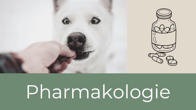 Neuropharmakologie